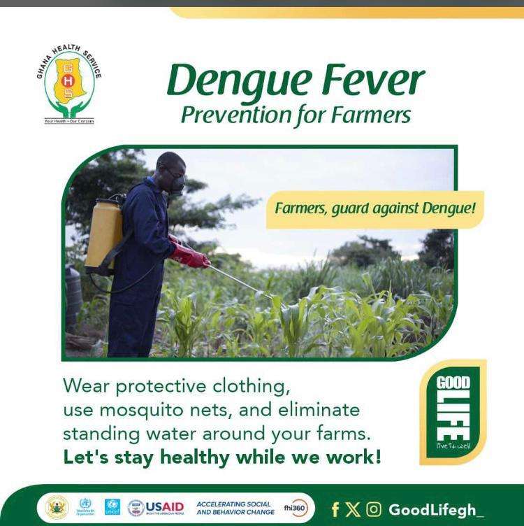 Alarming Rise in Dengue Fever Cases in Ghana Prompts Urgent Action