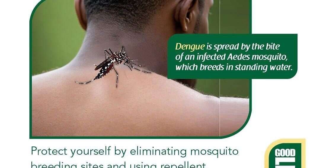 Alarming Rise in Dengue Fever Cases in Ghana Prompts Urgent Action 1 WhatsApp Image 2024 07 22 at 4.21.27 AM