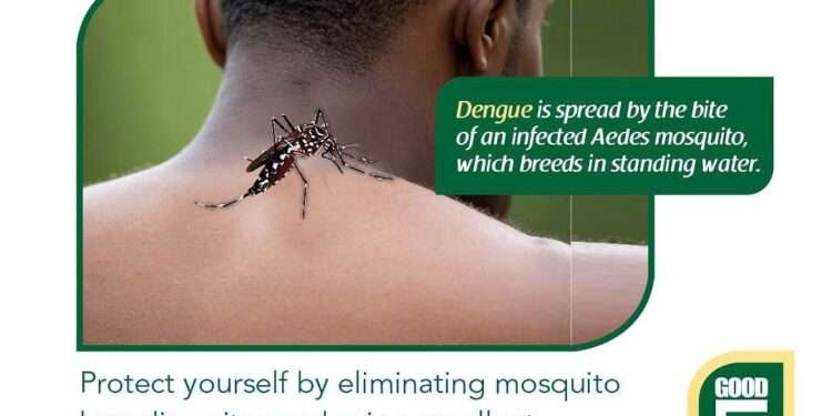 Alarming Rise in Dengue Fever Cases in Ghana Prompts Urgent Action 1 WhatsApp Image 2024 07 22 at 4.21.27 AM