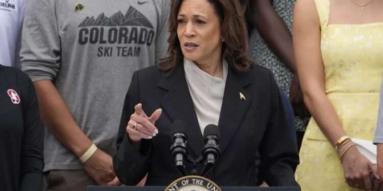 U.S Vice President, Kamala Harris speaks from the South Lawn of the White House on Monday, July 22, 2024.