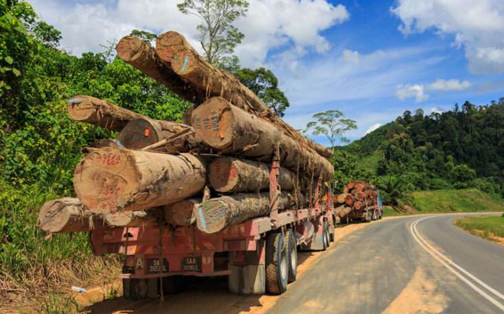 govt tropical deforestation 0bc61b73 734x458 1