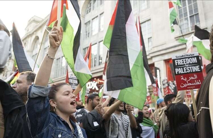Pro-Palestinian protesters