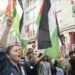 Pro-Palestinian protesters