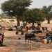 Fresh Attacks In Burkina Faso Drives Thousands Into Niger 12 Children and women collect water in a village in Niger