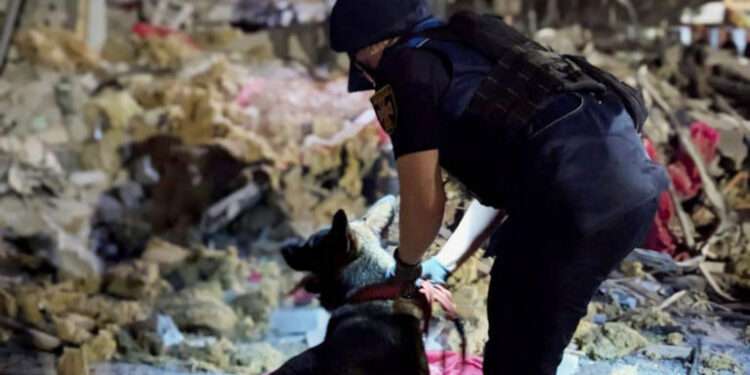 Russia Launches Fresh Barrage Of Attacks On Zaporizhzhia And Kryvyi Rih 1 A rescuer with a dog at the scene in Kryvyi Rih.