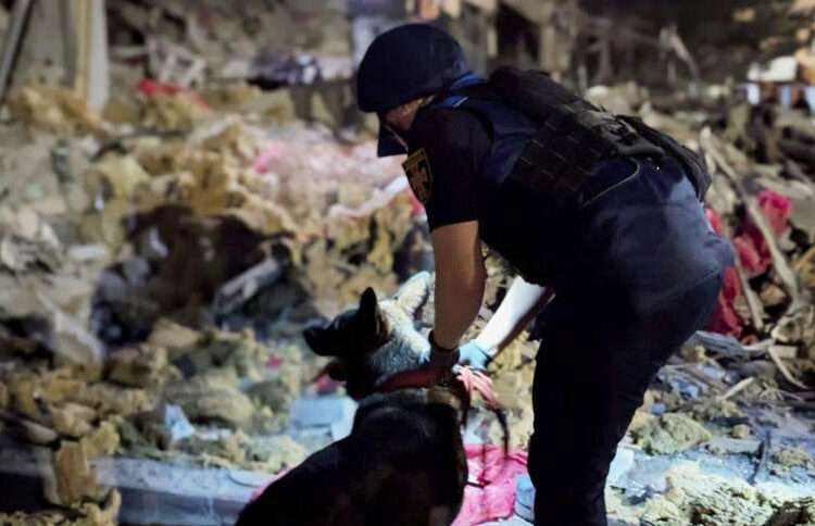 A rescuer with a dog at the scene in Kryvyi Rih.