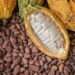 MP Addresses Concerns on Cocoa Production and Minority Claims 11 Ghana, Côte d’Ivoire Face Harsh EU Warning: Fix Cocoa Sector or Lose Global Market Power