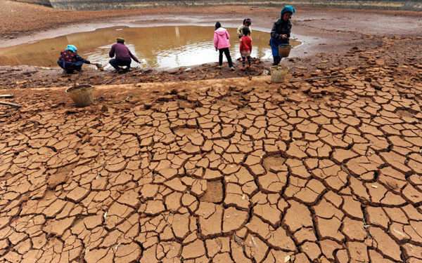 Global Drought Crisis Unfolds With Devastating Impact
