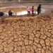 Global Drought Crisis Unfolds With Devastating Impact