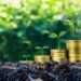 Ghana's Investment Appeal Shines with 8th Place Ranking in Africa 12 Ghana Defies Odds With Record Financial Growth