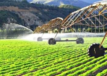 Irrigation Investment