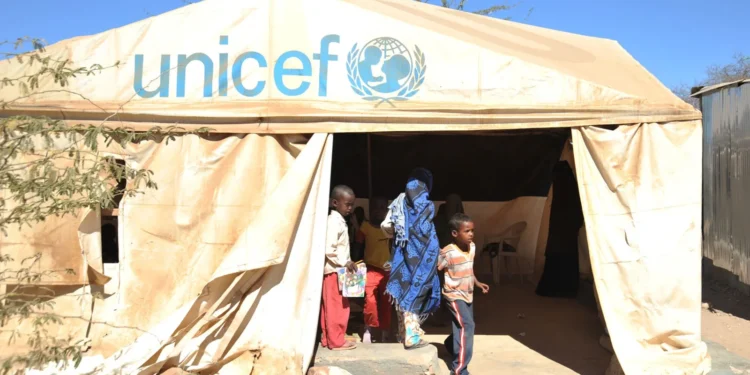 Unicef somalia