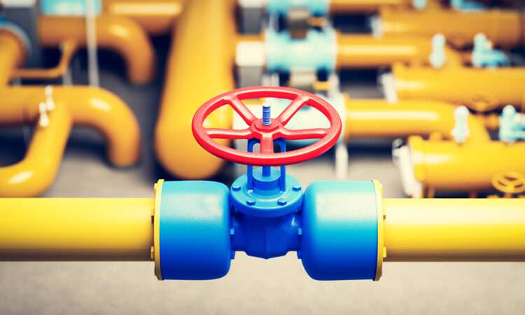 TotalEnergies CEO Criticizes G7 for Excluding African Gas Projects 1 Gas Valve
