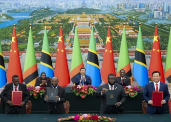 China Strengthens African Ties With $50.6 Billion Pledge 2 Some African and Chinese official at the China-Africa Summit