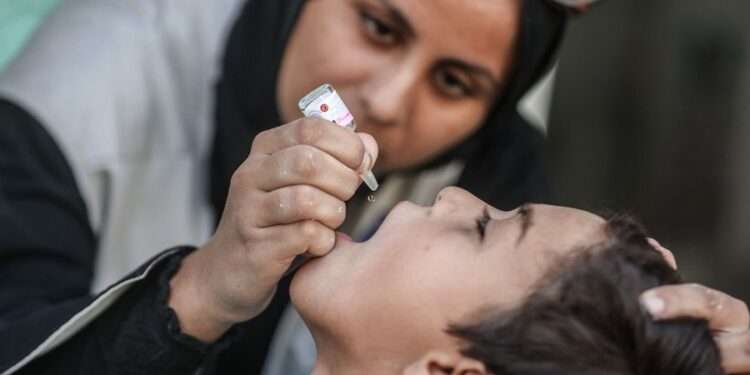 First Phase Of Vaccination Drive In Central Gaza Complete 1 A child in Gaza receives oral drops of the polio vaccine.