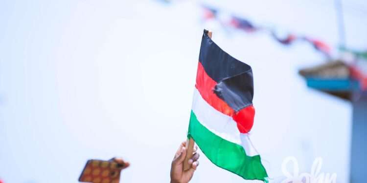 NDC's Flag