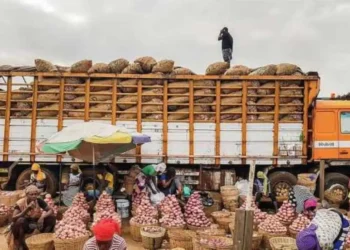 Adjen-Kotoko Onion Market
