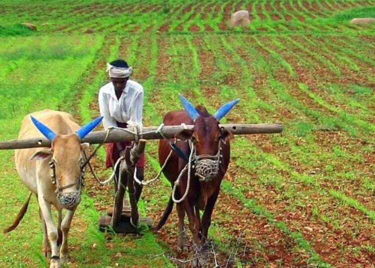 Minister Calls MSMEs to Invest in Agriculture for Economic Growth 1 Minister Calls MSMEs to Invest in Agriculture for Economic Growth