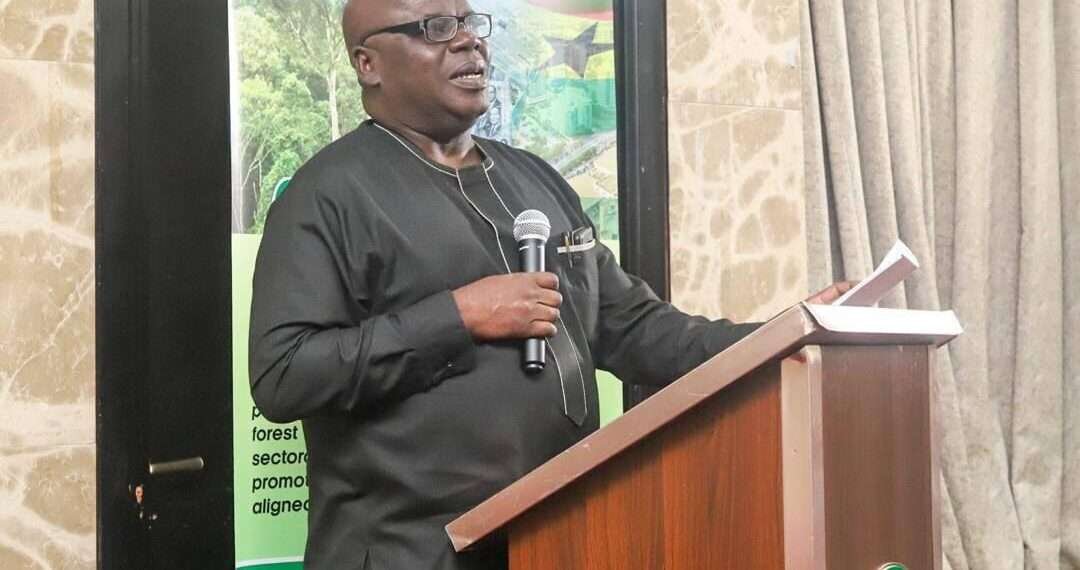 Professor Patrick Agbesinyale, Chief Director for the Ministry of Lands and Natural Resources