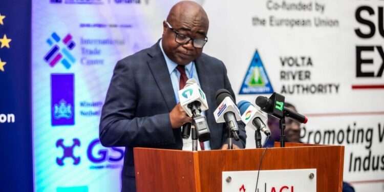 Chief Executive of the Volta River Authority (VRA)
