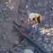 fibre optic cable cuts