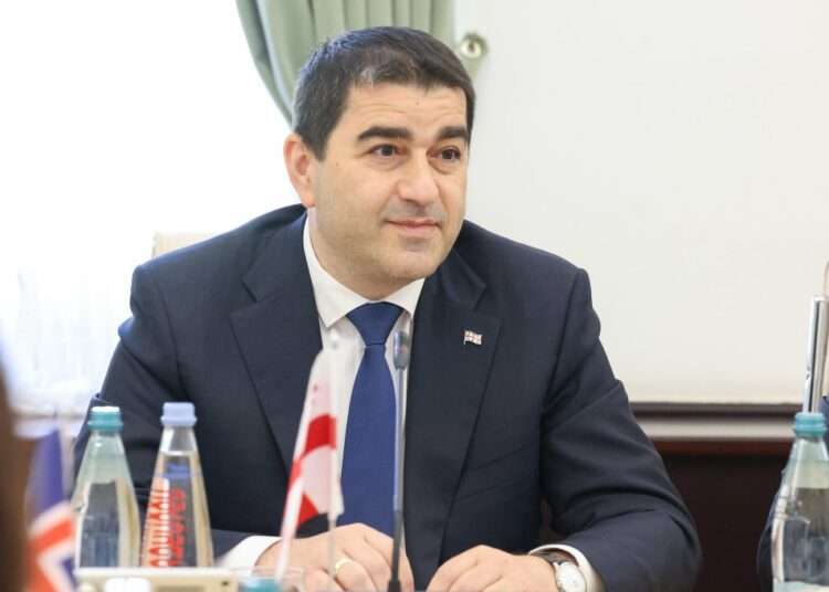 Georgian Parliament Speaker Signs Anti-LGBTQ Bill 1 Georgian Parliament Speaker Shalva Papuashvili.