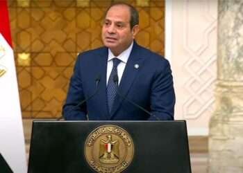 El-Sisi Stresses Need For Ceasefire