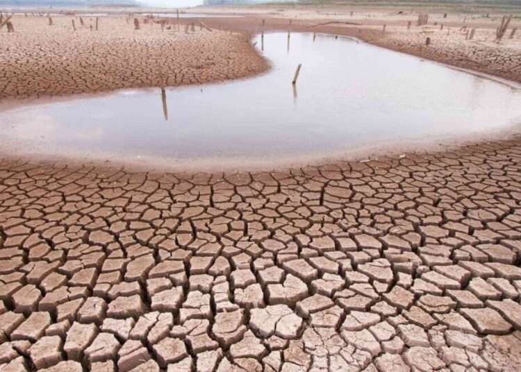 Southern Africa Faces Worst Hunger Crisis in Decades 1 Southern African region battling devastating drought triggered by the El Niño weather phenomenon