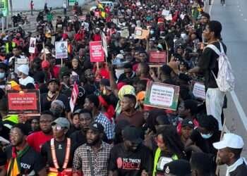 Police Denies Coercion Allegations in Democracy Hub Case 1 Democracy Hub Protesters