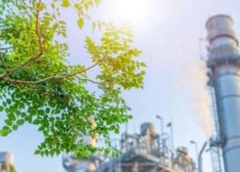 WhatsApp Image 2024 10 21 at 06.05.54 3d004f9f