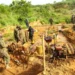 galamsey central region