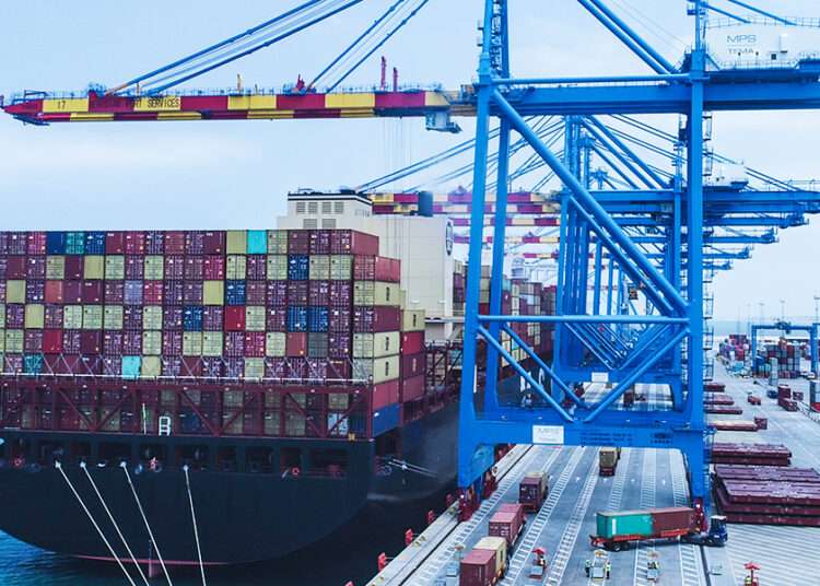 ecg container saga
