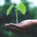 Ghana's Green Taxonomy Targets Greenwashing, Boosts Investments 12 50380d5ad9cb8c394620e467c4cc218a