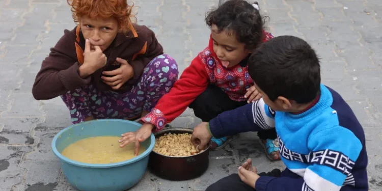 Palestinian children taste food from a distribution centre.