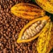COCOBOD Refutes Allegations of Quality Concerns in Global Markets 13 Cocoa