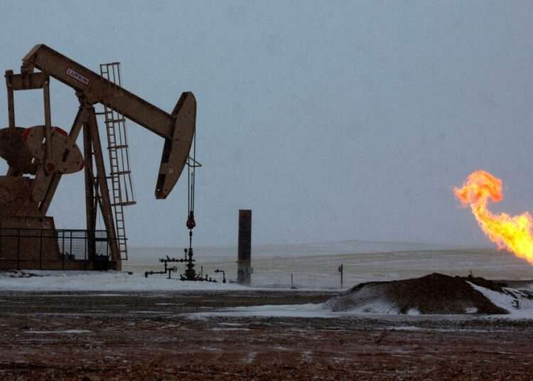 Expert Predicts Explosive Growth for Africa’s Oil and Gas Industry 1 F7CPKDOW6ZLRPKSNXGQWGV5UGU