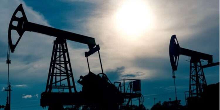 Africa to Contribute 8% to Global Oil Supply 1 WhatsApp Image 2024 11 25 at 13.00.34 b68b1e51
