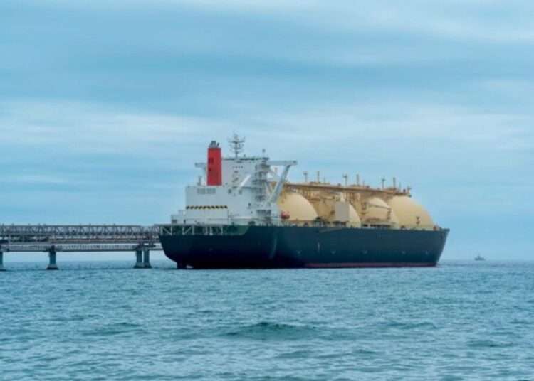 Africa's LNG Potential Faces Stranded Supply Risks 1 WhatsApp Image 2024 11 25 at 14.10.41 601afe6d