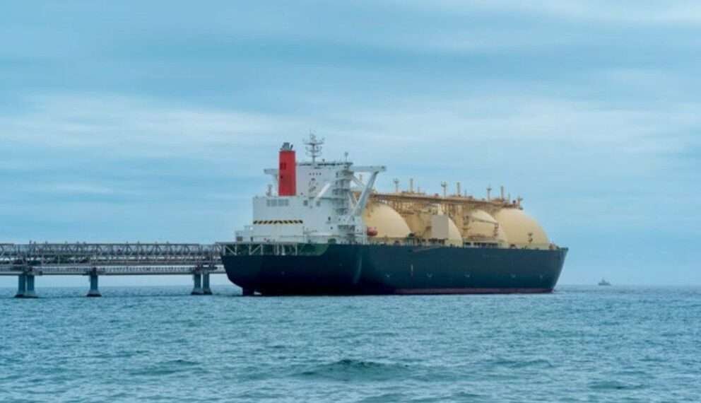 WhatsApp Image 2024 11 25 at 14.10.41 601afe6d