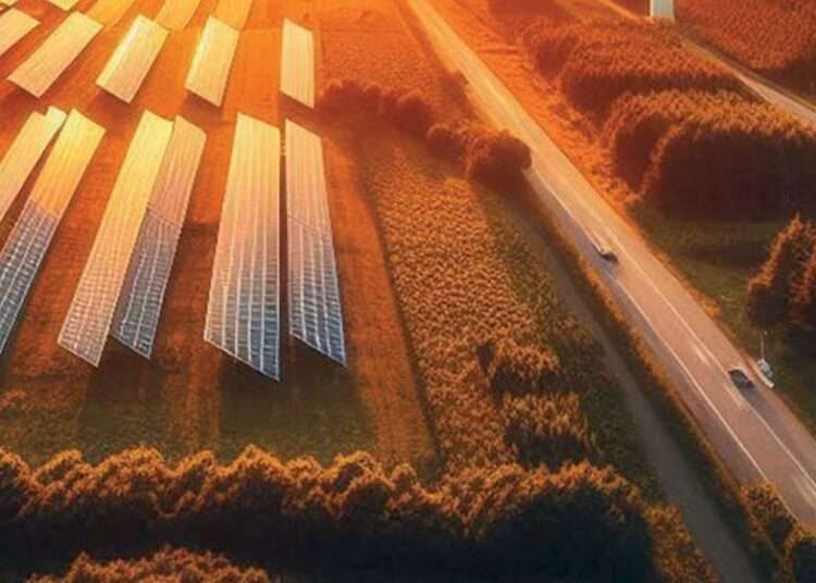 Solar Adoption