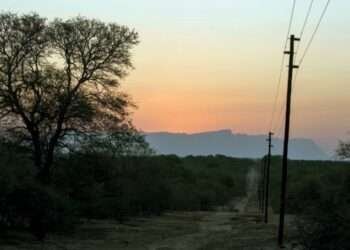 Japan Eyes Investment in Ghana’s Energy Transmission Sector  1 Africa Faces Stark Energy Gap: Over 500 million in Darkness