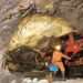 Gold Fields, AngloGold Ashanti JV Faces Delays as Government Approval Lags