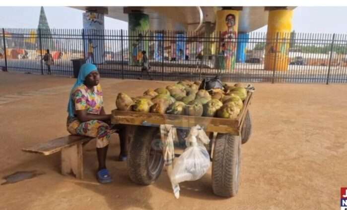 flowerpot interchange coconut