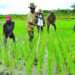 Agriculture Stakeholders Congratulate President-Elect John Dramani Mahama