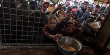 Hungry Palestinian children are crushed waiting on the distribution of bread from a charitable organisation in the al-Mawasi area of Khan Younis in the southern Gaza Strip on December 19, 2024.