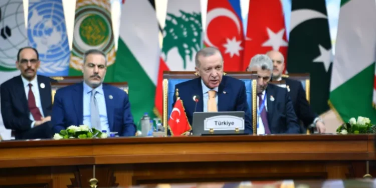 Turkish President, Recep Tayyip Erdogan speaks at the summit of the Developing Eight Organization for Economic Cooperation (D-8), in the Egyptian capital Cairo.