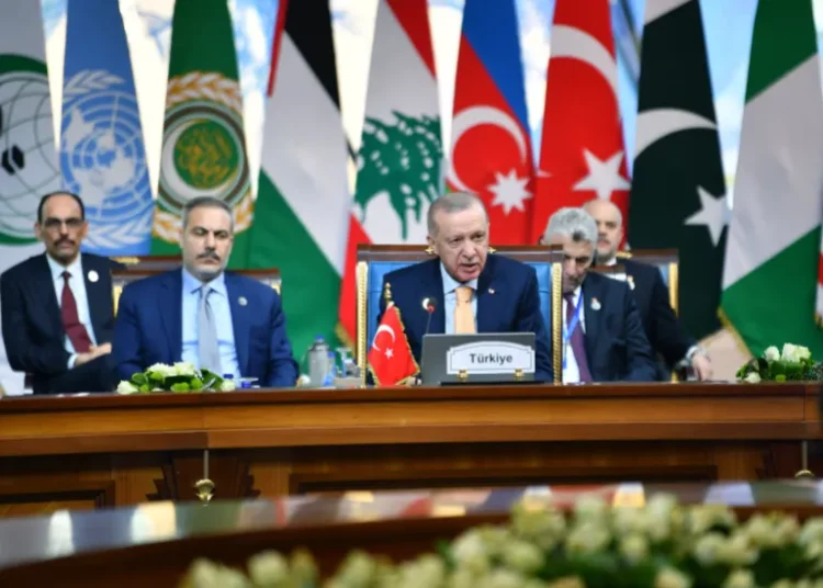 Turkish President, Recep Tayyip Erdogan speaks at the summit of the Developing Eight Organization for Economic Cooperation (D-8), in the Egyptian capital Cairo.
