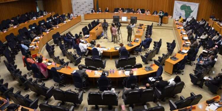 African Union Commision