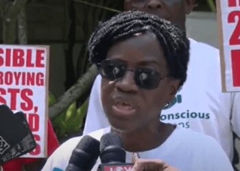 Whoever Wins the Election Must Declare a State of Emergency- Awula Serwaa 1 Madam Awula Serwaa Environmental activist and Coordinator of Eco-Conscious Citizens