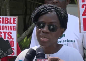 Madam Awula Serwaa Environmental activist and Coordinator of Eco-Conscious Citizens